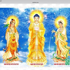 Meet your Posher, Thu